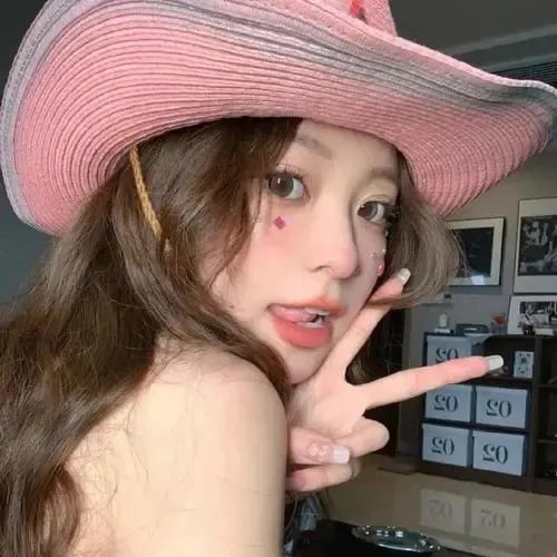 燕子盗