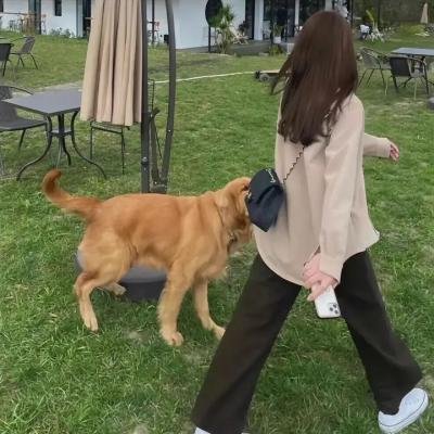 吸血黑王子